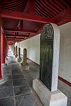 dự đoán xổ số đại phát