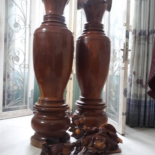 Lục bình giá rẻ